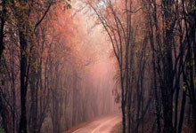 沙滩足球亚洲杯：中国男足-不敌沙特队，中国门将郭威破门.