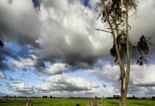 鲸鱼体育官网：[天下足球]曼联力克曼城 夺得足总杯冠军.