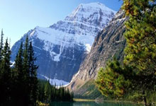 鲸鱼体育官网：替补稳定输出火力，弗格11中7&三分8中5取22分2板1助1断.