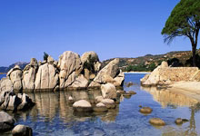 世界杯德国队球衣预测：致敬年和年世界杯冠军款.